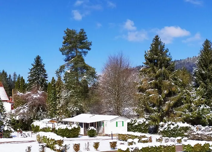 Maison Familiale 3 Au Calme Dans La Nature Gérardmer